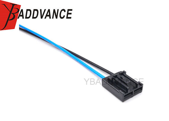 Hot-selling 2 Pin Female Automotive Electrical Fuel Pump Harness with High-temperature wire